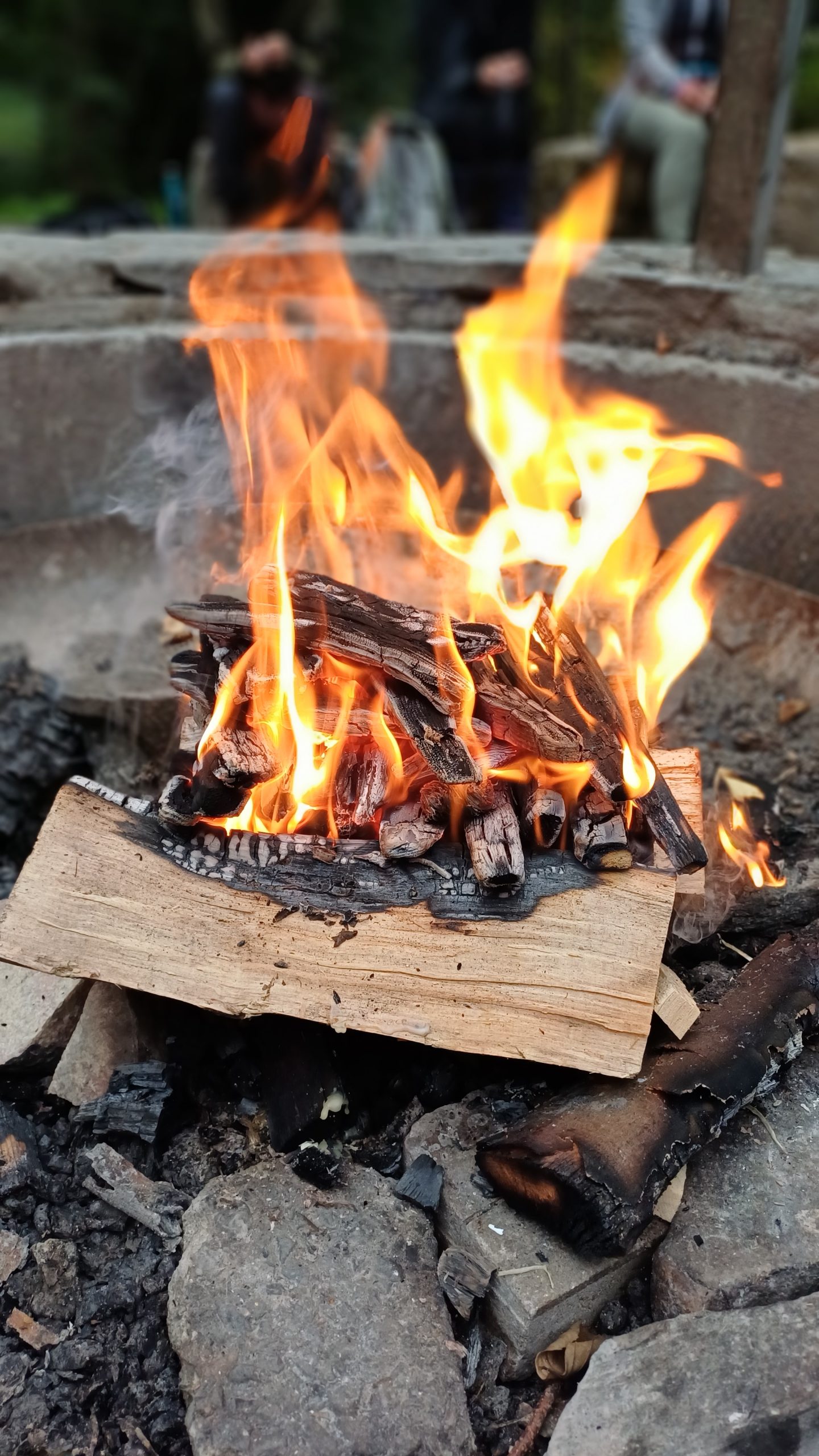 lagerfeuer kraeuterpaedagogik