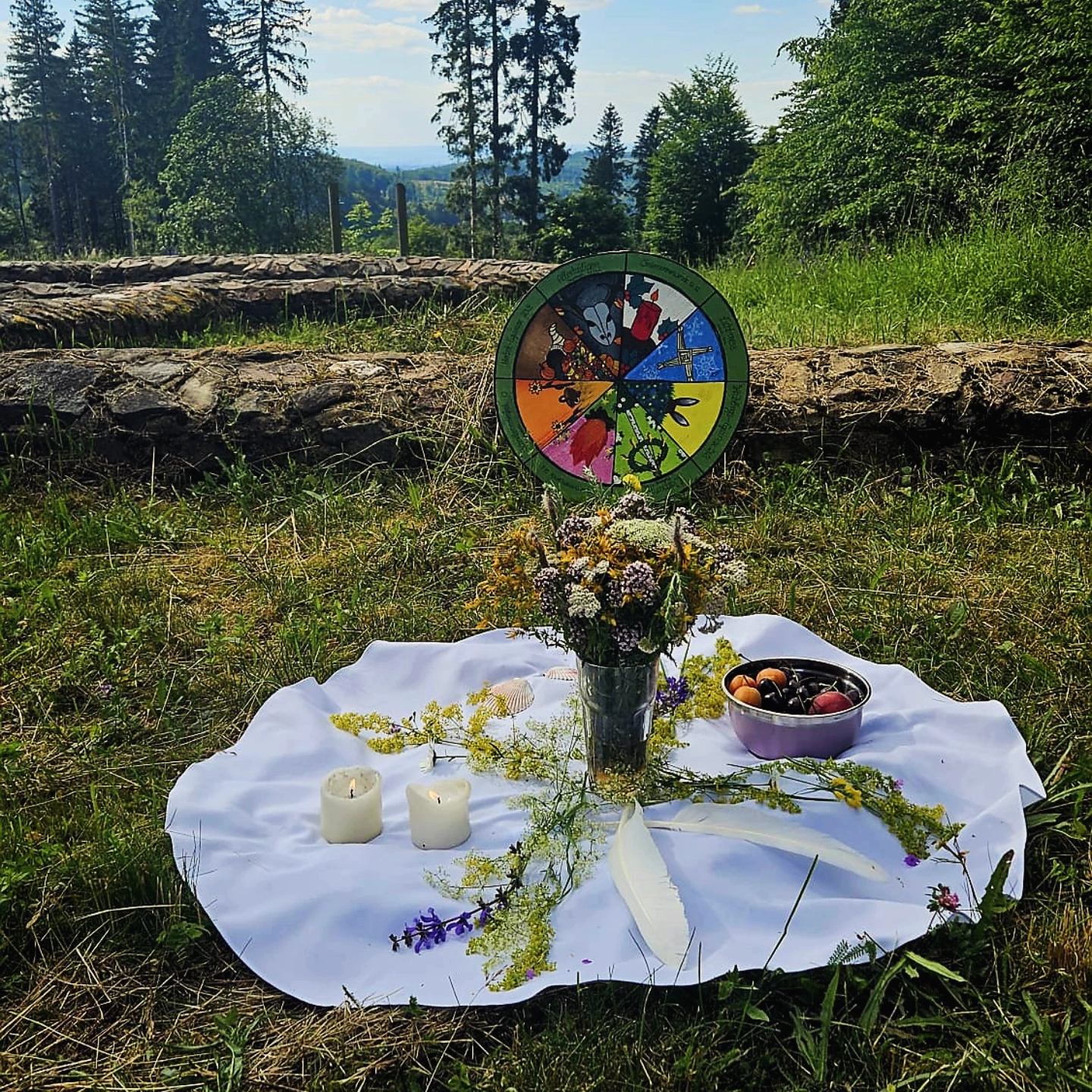 mittsommer fruechte kraeuterpaedagogik