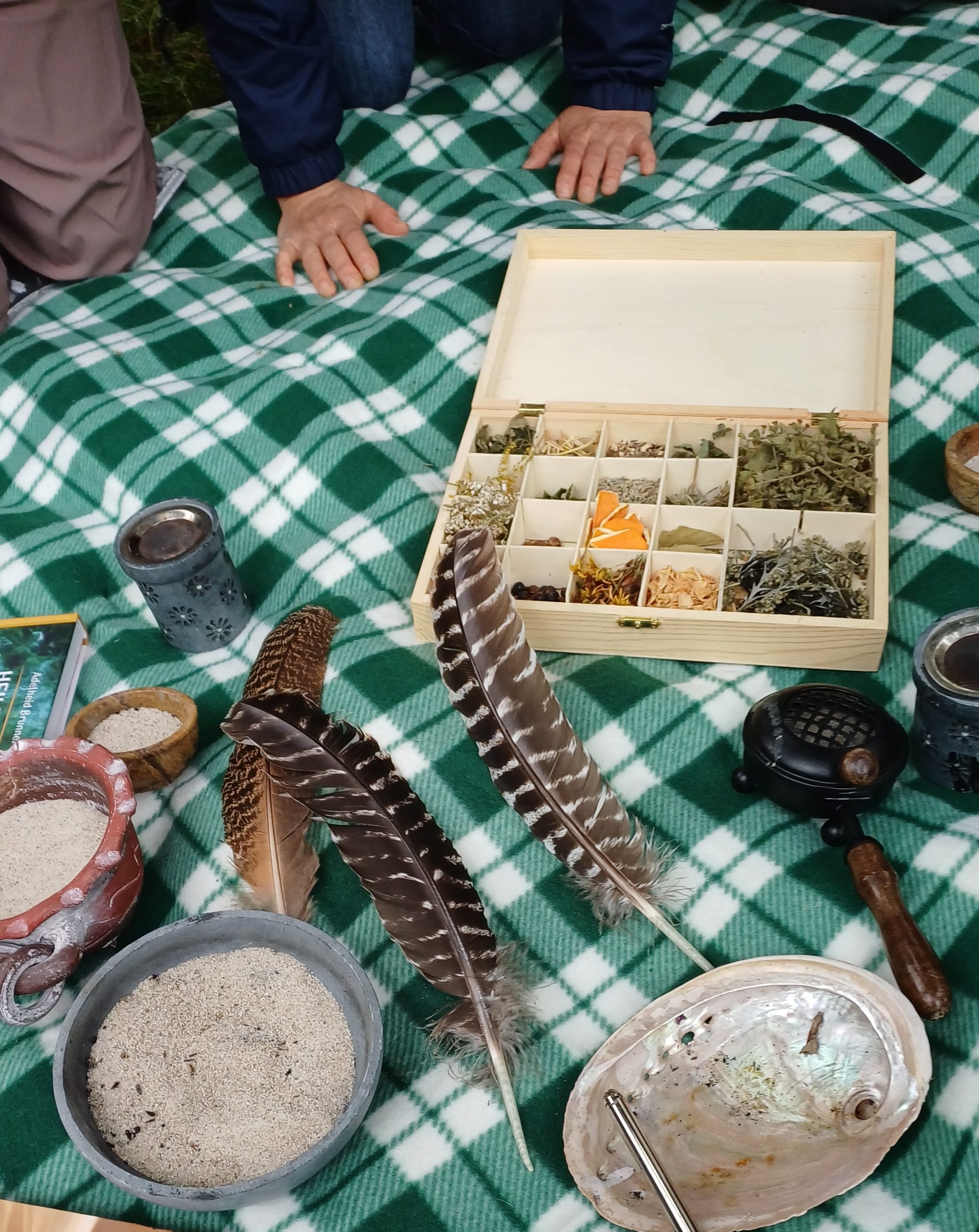 Zertifikatslehrgang "Wildkräuterpädagoge / in" – Bild 16