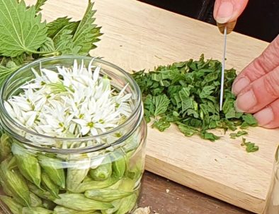 Kräuterpädagogik Ausbildung Herstellung Bärlauchtinktur