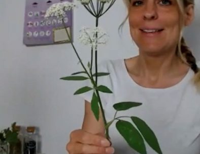 Kräuterpädagogik-Ausbildung Online Modul Annette erklärt Giersch